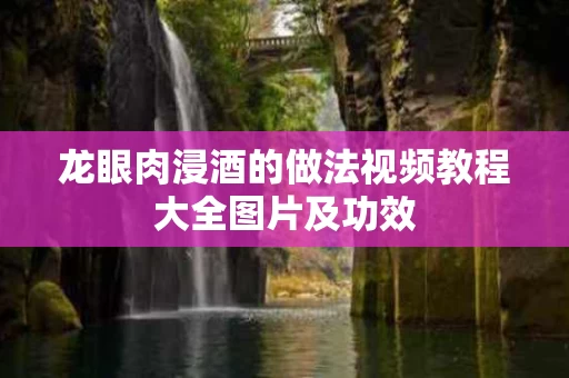 龙眼肉浸酒的做法视频教程大全图片及功效