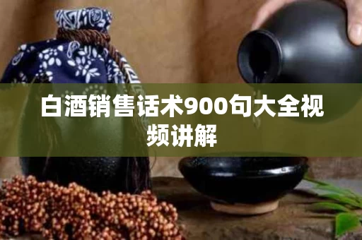 白酒销售话术900句大全视频讲解