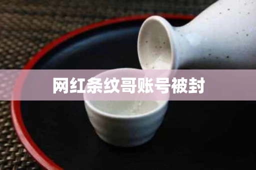 网红条纹哥账号被封