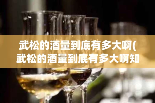 武松的酒量到底有多大啊(武松的酒量到底有多大啊知乎)
