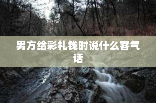 男方给彩礼钱时说什么客气话