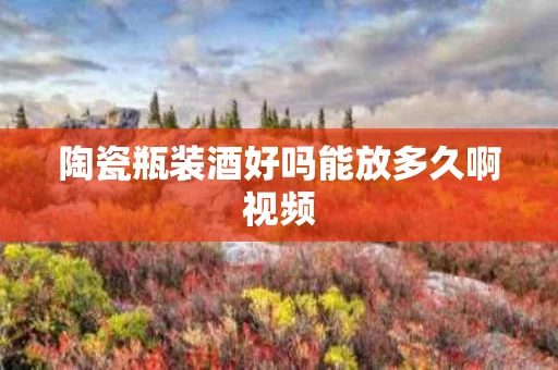陶瓷瓶装酒好吗能放多久啊视频