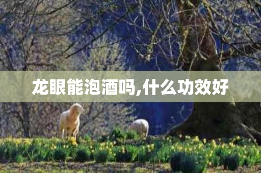 龙眼能泡酒吗,什么功效好 龙眼能泡酒吗,什么功效好