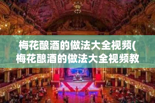梅花酿酒的做法大全视频(梅花酿酒的做法大全视频教学)