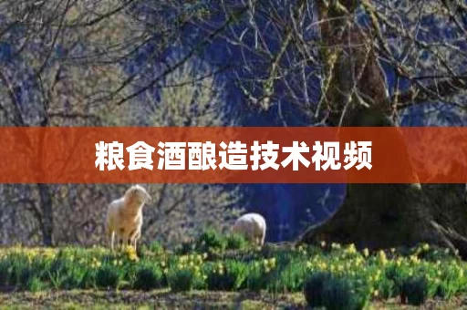 粮食酒酿造技术视频