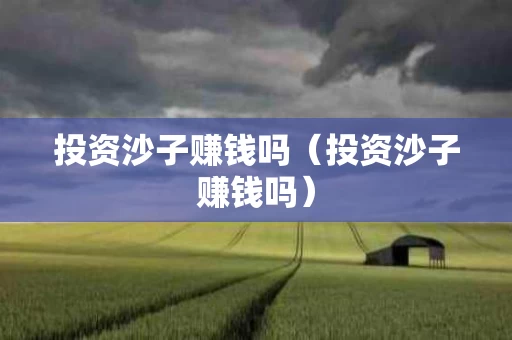 投资沙子赚钱吗（投资沙子赚钱吗）