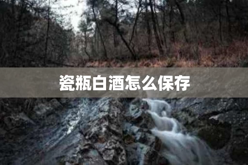 瓷瓶白酒怎么保存