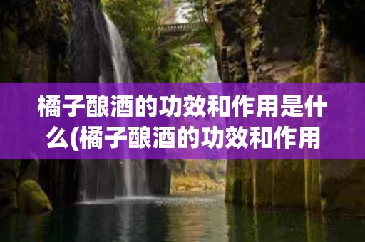 橘子酿酒的功效和作用是什么(橘子酿酒的功效和作用是什么意思)