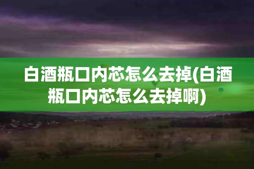 白酒瓶口内芯怎么去掉(白酒瓶口内芯怎么去掉啊)