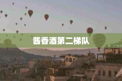 酱香酒第二梯队