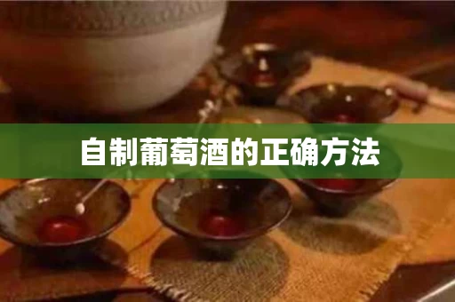 自制葡萄酒的正确方法
