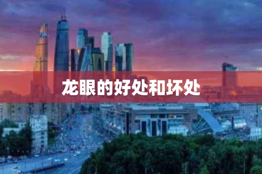 龙眼的好处和坏处
