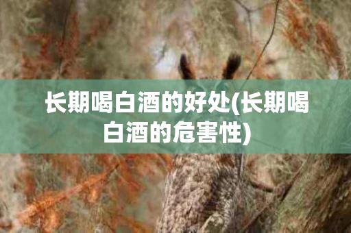 长期喝白酒的好处(长期喝白酒的危害性)