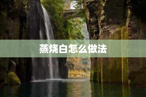 蒸烧白怎么做法