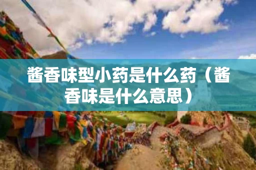 酱香味型小药是什么药（酱香味是什么意思）