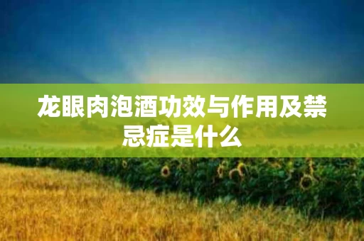 龙眼肉泡酒功效与作用及禁忌症是什么