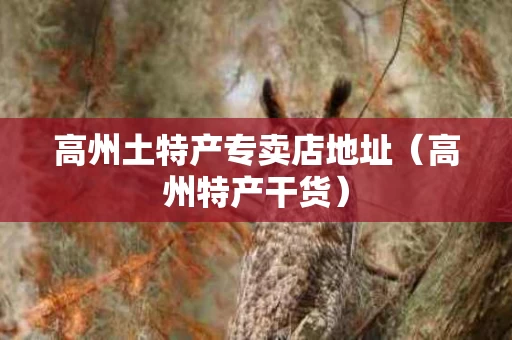 高州土特产专卖店地址（高州特产干货）
