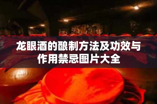 龙眼酒的酿制方法及功效与作用禁忌图片大全