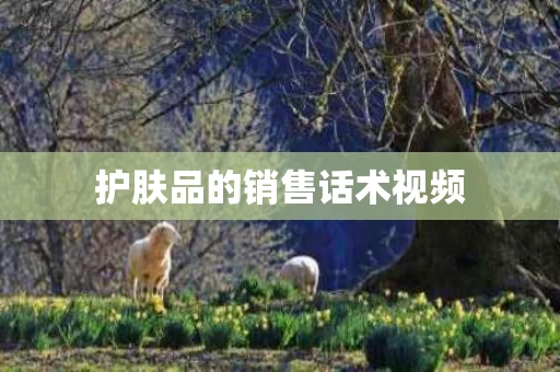 护肤品的销售话术视频
