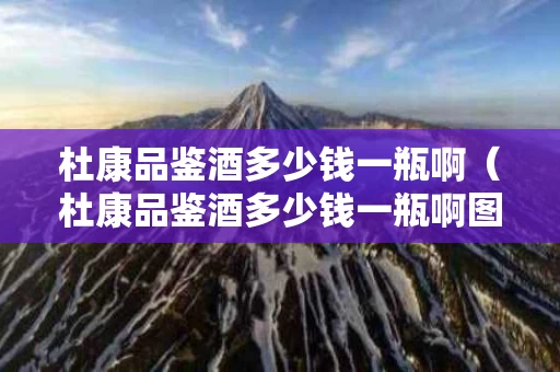 杜康品鉴酒多少钱一瓶啊（杜康品鉴酒多少钱一瓶啊图片）