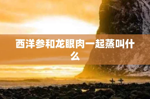 西洋参和龙眼肉一起蒸叫什么