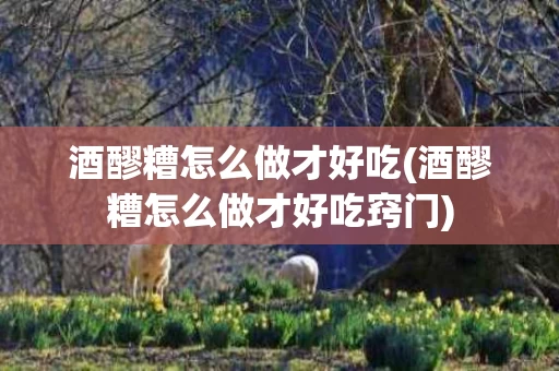 酒醪糟怎么做才好吃(酒醪糟怎么做才好吃窍门)