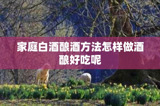 家庭白酒酿酒方法怎样做酒酿好吃呢