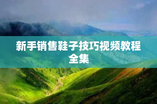 新手销售鞋子技巧视频教程全集