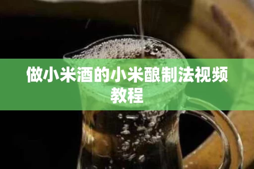 做小米酒的小米酿制法视频教程