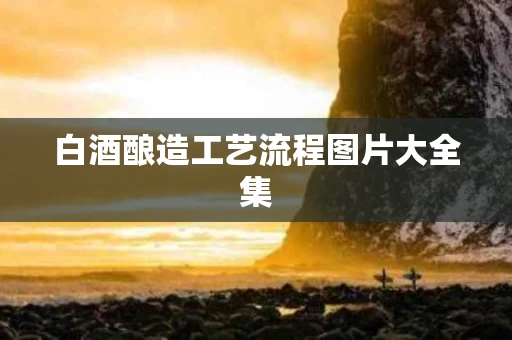 白酒酿造工艺流程图片大全集