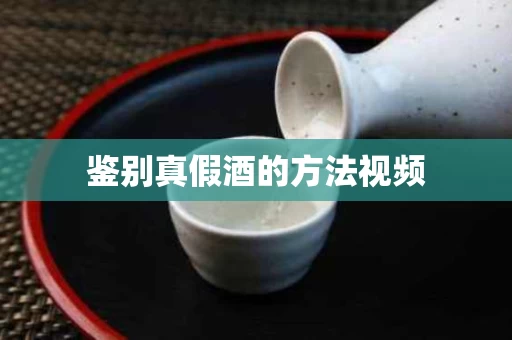鉴别真假酒的方法视频