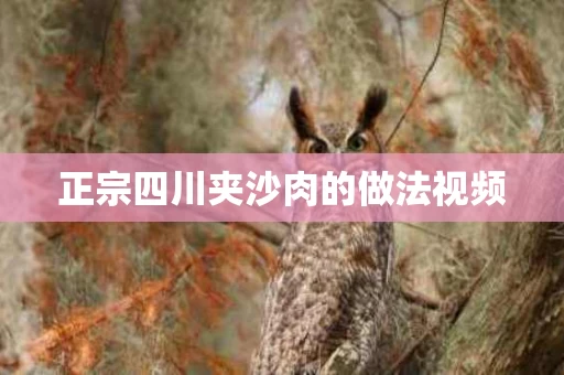 正宗四川夹沙肉的做法视频