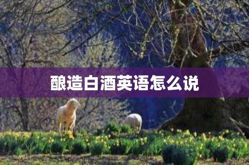 酿造白酒英语怎么说