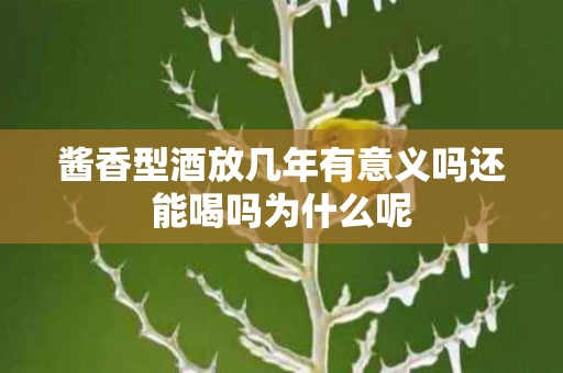 酱香型酒放几年有意义吗还能喝吗为什么呢