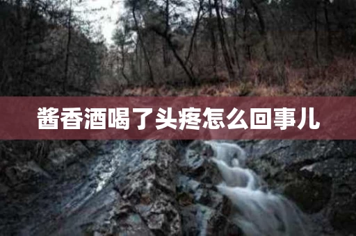 酱香酒喝了头疼怎么回事儿