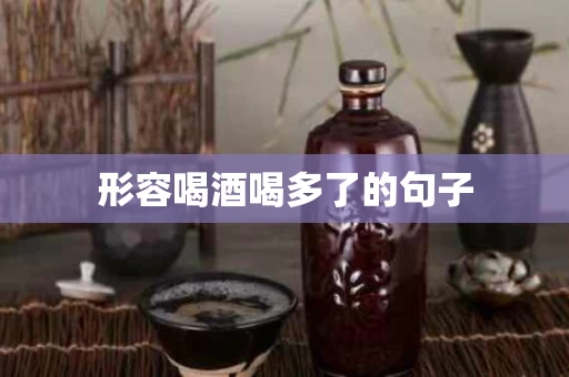 形容喝酒喝多了的句子