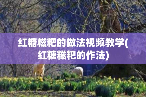 红糖糍粑的做法视频教学(红糖糍粑的作法)