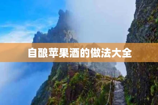自酿苹果酒的做法大全