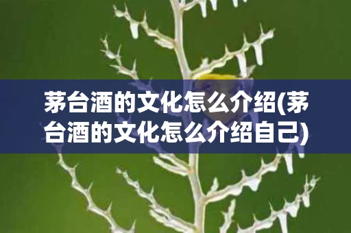 茅台酒的文化怎么介绍(茅台酒的文化怎么介绍自己)