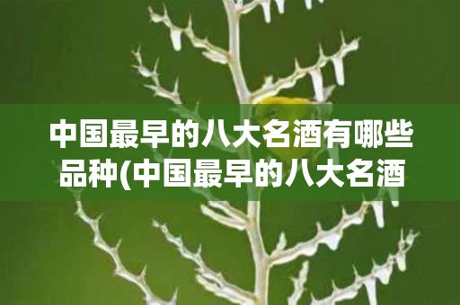 中国最早的八大名酒有哪些品种(中国最早的八大名酒是什么酒)