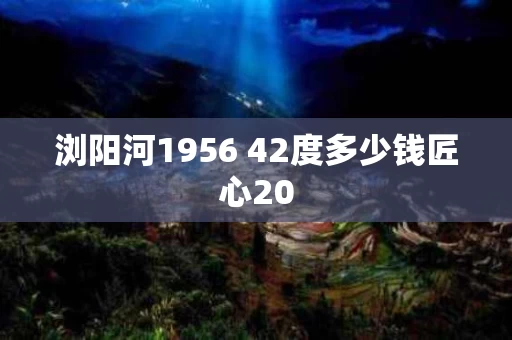 浏阳河1956 42度多少钱匠心20