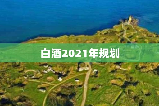 白酒2021年规划