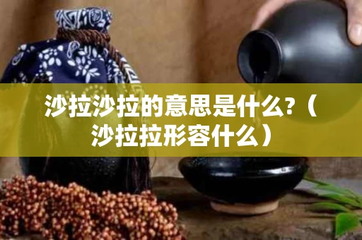 沙拉沙拉的意思是什么?（沙拉拉形容什么）