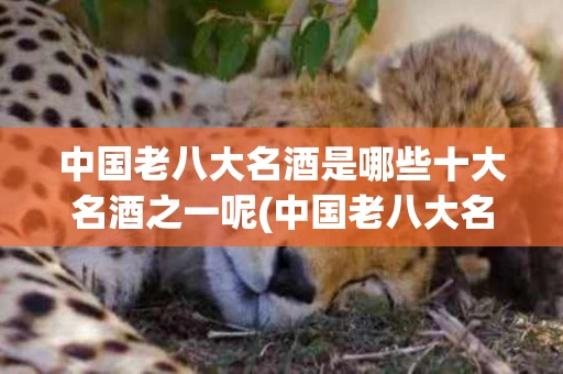 中国老八大名酒是哪些十大名酒之一呢(中国老八大名酒是哪些十大名酒之一呢视频)