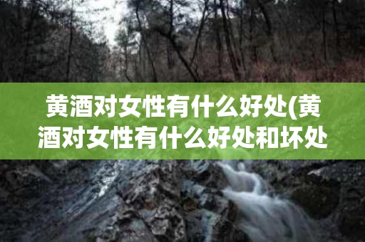 黄酒对女性有什么好处(黄酒对女性有什么好处和坏处)