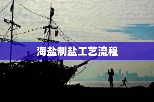 海盐制盐工艺流程