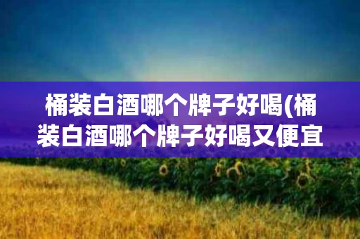 桶装白酒哪个牌子好喝(桶装白酒哪个牌子好喝又便宜)