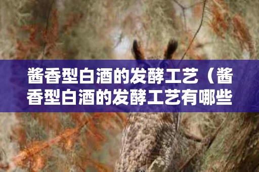酱香型白酒的发酵工艺（酱香型白酒的发酵工艺有哪些）