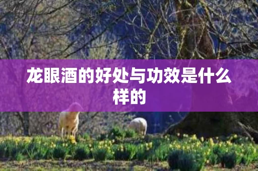 龙眼酒的好处与功效是什么样的