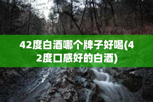 42度白酒哪个牌子好喝(42度口感好的白酒)